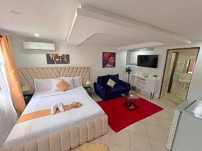Executive Homely Studio apt